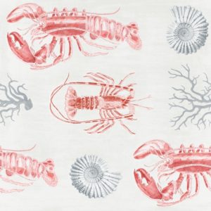 Mind The Gap Lobster wallpaper