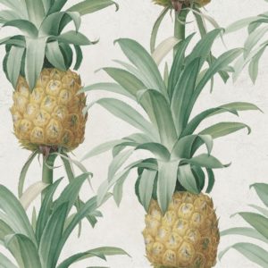 Mind The Gap Ananas wallpaper