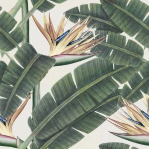 Mind The Gap Tropical Bloom wallpaper