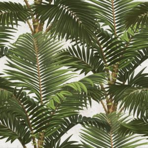 Mind The Gap Jardin Tropical wallpaper