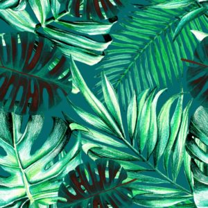 Mind The Gap Rainforest wallpaper