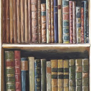 Mind The Gap Book Shelves wallpaper