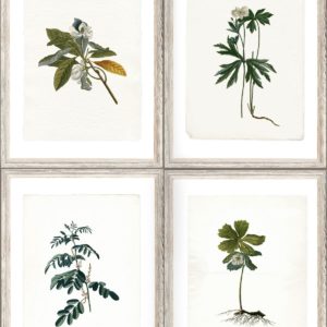 Mind The Gap Botany wallpaper