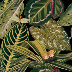 Mind The Gap Amazonia wallpaper