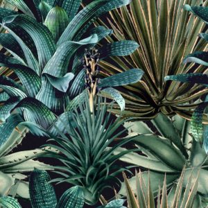 Mind The Gap Lush Succulents wallpaper