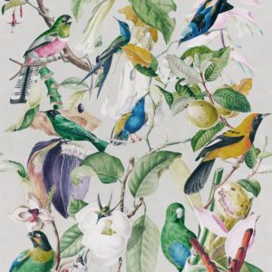 Mind The Gap Tropical Birds wallpaper