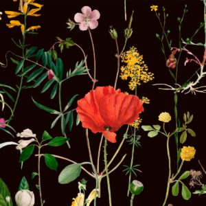 Mind The Gap Aquafleur Anthracite wallpaper