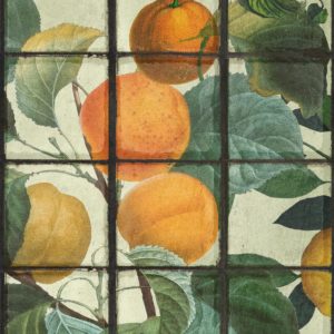 Mind The Gap Orangerie wallpaper