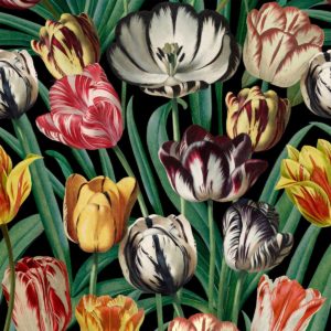 Mind The Gap Tulipa wallpaper