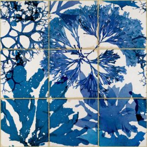 Mind The Gap Algae in blue wallpaper