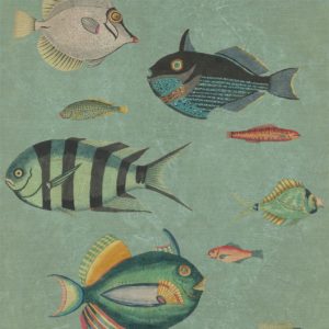 Mind The Gap Poissons wallpaper