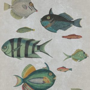 Mind The Gap Poissons Grey wallpaper