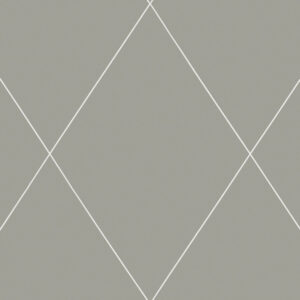 Sandberg Wallpaper Oas Robin dark grey