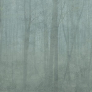 Sandberg Wallpaper Jordnära Skog forest green