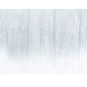 Sandberg Wallpaper Special Edition Vinterskog grey