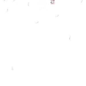 Sandberg Wallpaper Special Edition Sakura mural