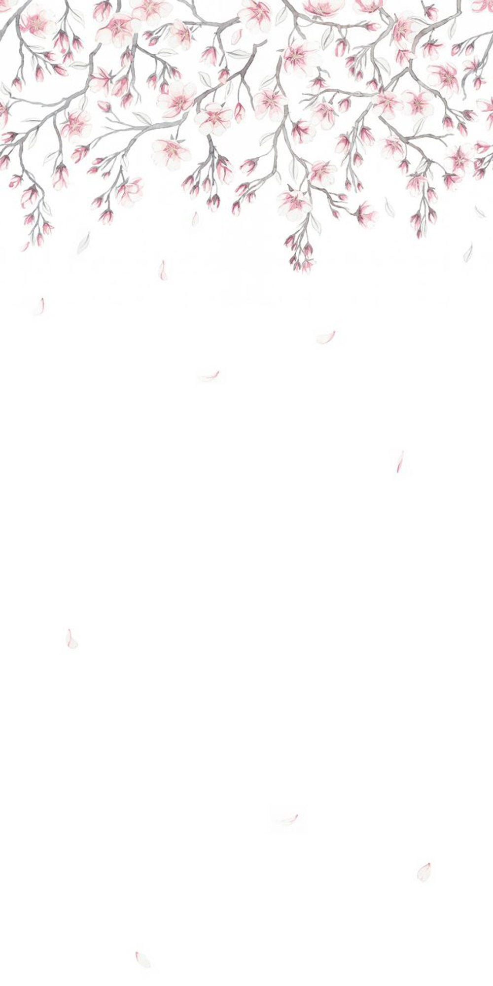 Sandberg Wallpaper Special Edition Sakura mural