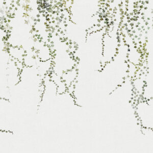 Sandberg Wallpaper Arboretum Aralia moss green