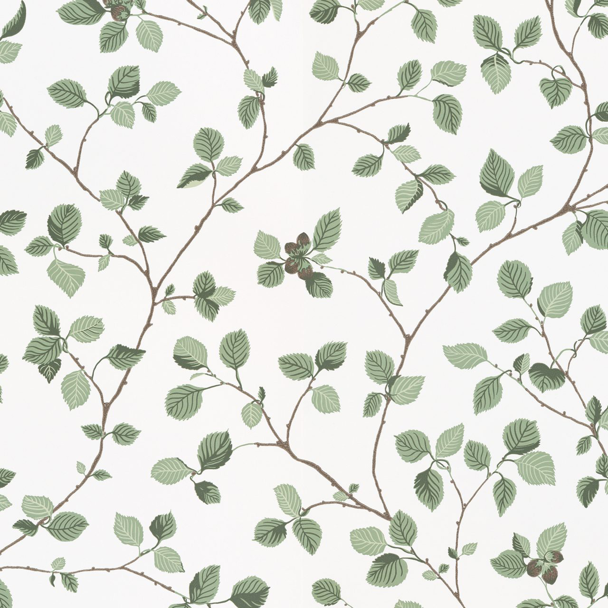 Sandberg Wallpaper Arboretum Hassel green