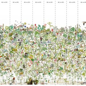 nlxl 9 Drop Enchanted Garden wallpaper mural 9 drops ASU-01-9 by Anna Surie