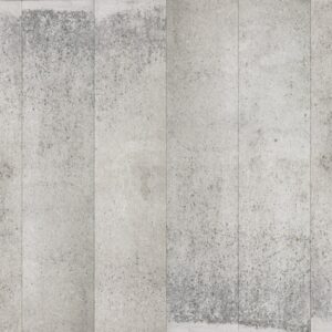 nlxl Weathered moss wallpaper roll of wallpaper CON-05 by Piet Boon