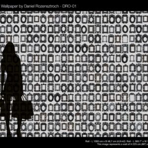 nlxl Frames wallpaper roll of wallpaper DRO-01 by Daniel Rozensztroch