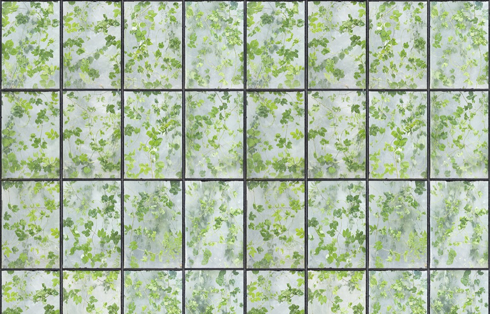 nlxl Greenhouse wallpaper roll of wallpaper ERG-01 by Erik Gutter