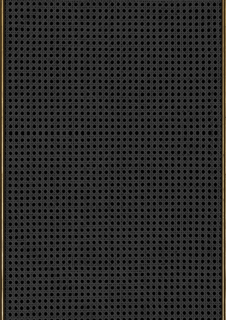 nlxl Webbing Black roll of wallpaper MRV-21 by NLXL