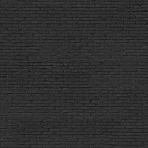 nlxl Black Brick wallpaper roll of wallpaper PHM-33 by Piet Hein Eek