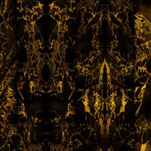 nlxl Black Metallic Marble Mirrored wallpaper roll of wallpaper PHM-71 by Piet Hein Eek