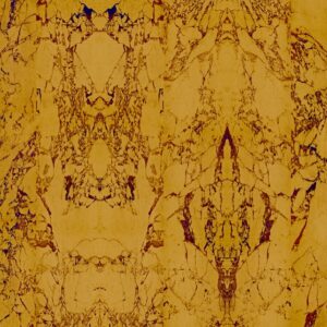 nlxl Gold Metallic Marble Mirrored wallpaper roll of wallpaper PHM-81 by Piet Hein Eek