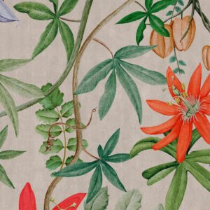 nlxl Passiflora Wallpaper mural UON-04-Passiflora by UON