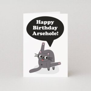 Arsehole Cat Birthday Card | Funny Birthday Cards for Adults