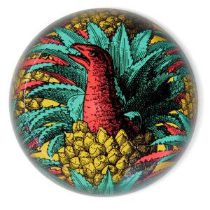 Anananosaure Paperweight